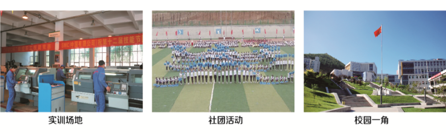 P1.png